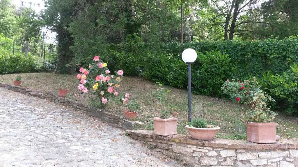 Il Solaio Farm stay